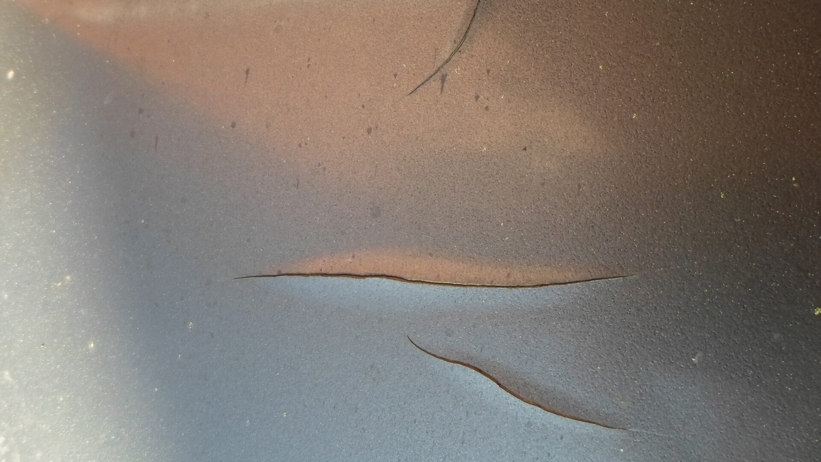 Car being carefully washed with lukewarm water, showcasing safe practices to protect paint from damage.