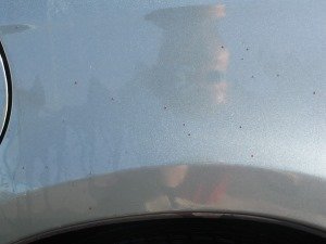 How to Remove Artillery Fungus from Car Paint – Auto Detailer’s Guide