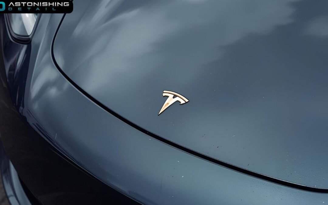 Tesla Paint